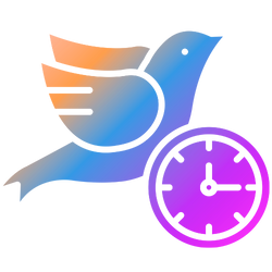 Super Early Bird icon